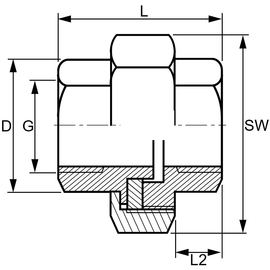 Zeichnung Verschraubung IG IG Edelstahl.webp