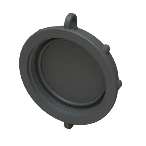 Sealing cap for 2" BSP thread