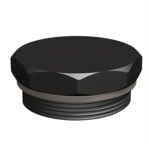 [101432] Closure cap 2" with seal PP